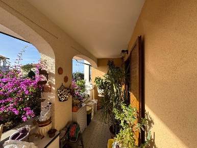 Foto Casa indipendente a Bibbona in vendita