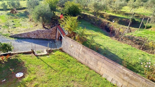 immagine annuncio 1 di 7
