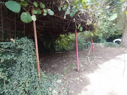immagine annuncio 8 di 9