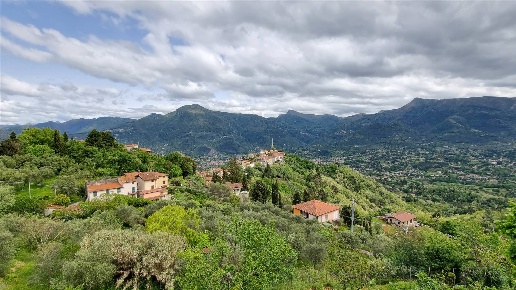 immagine annuncio 2 di 14