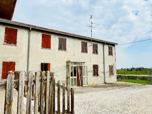 immagine annuncio 3 di 11