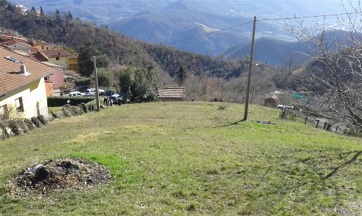 immagine annuncio 5 di 12