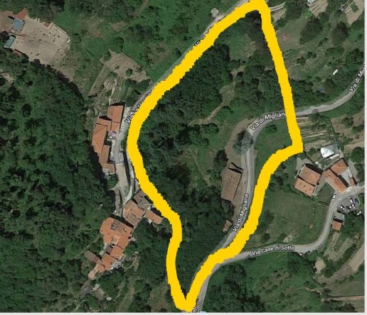 immagine annuncio 11 di 12