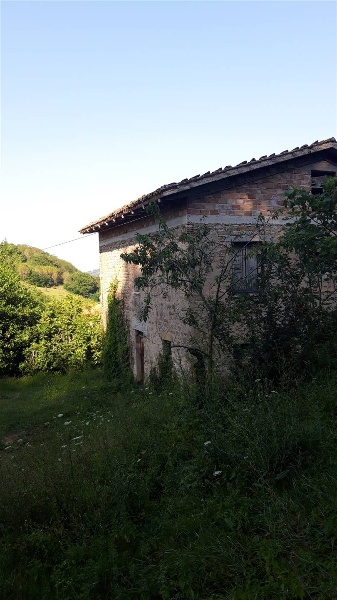immagine annuncio 2 di 7