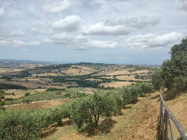 Foto Casa indipendente a Pienza Monticchiello di 177 m² con 20 locali