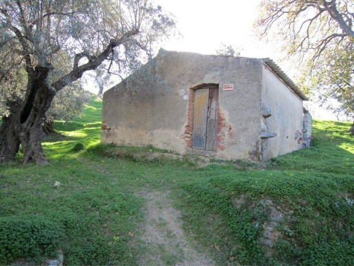 immagine annuncio 1 di 6