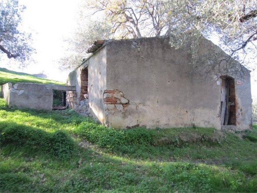 immagine annuncio 2 di 6
