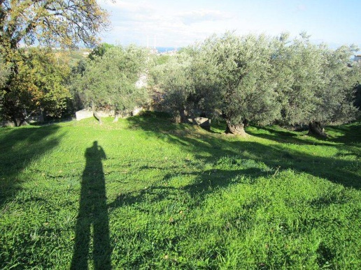 immagine annuncio 4 di 6