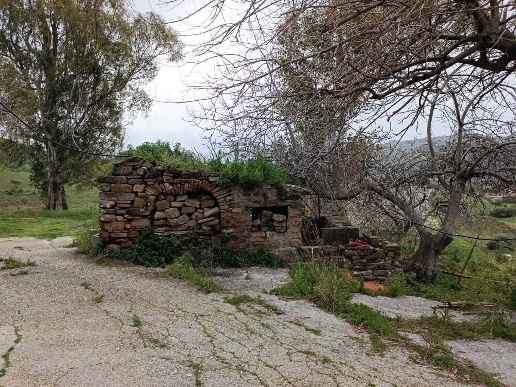 immagine annuncio 6 di 12