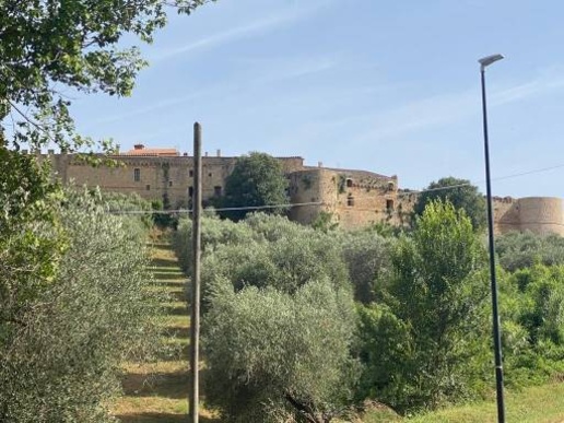 immagine annuncio 1 di 9