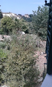 Foto Casa indipendente a Firenze Galluzzo di 420 m² con 16 locali