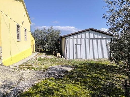 immagine annuncio 6 di 15