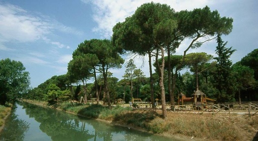 immagine annuncio 5 di 13
