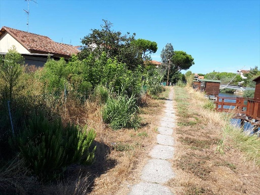 immagine annuncio 8 di 13