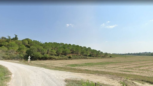 immagine annuncio 8 di 12