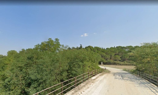 immagine annuncio 9 di 12