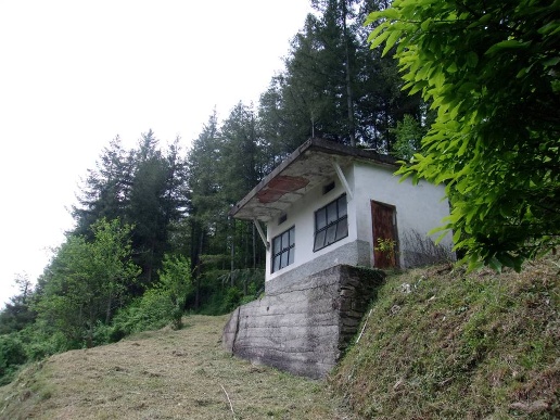 immagine annuncio 7 di 13