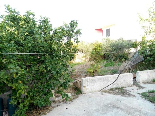 immagine annuncio 3 di 12