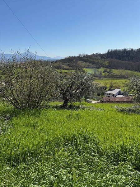 immagine annuncio 6 di 7