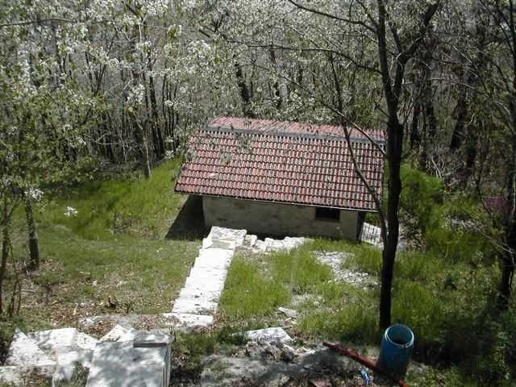 immagine annuncio 1 di 14