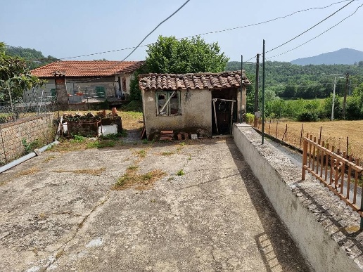immagine annuncio 3 di 14