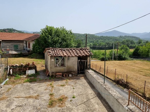 immagine annuncio 4 di 14