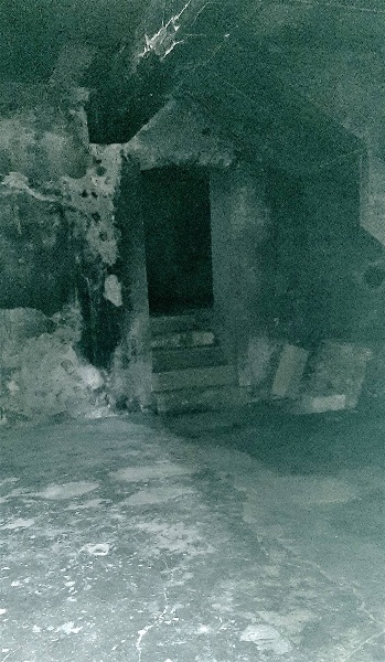 immagine annuncio 3 di 9