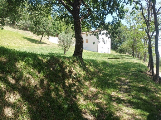 immagine annuncio 1 di 13
