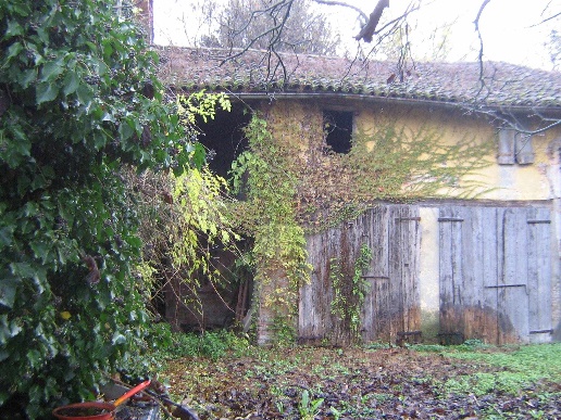 immagine annuncio 13 di 14
