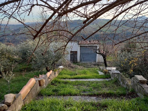 immagine annuncio 2 di 7