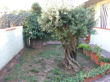 Foto Casa indipendente a Vecchiano Vecchiano Nodica di 120 m² con 4 locali