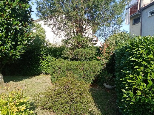 immagine annuncio 3 di 14