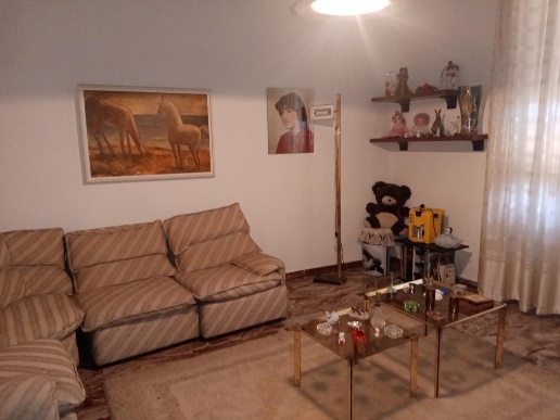 immagine annuncio 9 di 14