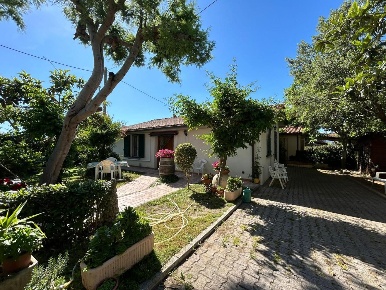 Foto Case semi ndipendenti a Castagneto Carducci di 70 m² con 3 locali