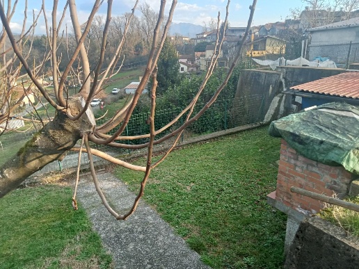 immagine annuncio 3 di 11