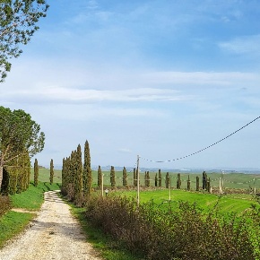 Foto Casa indipendente a Monteroni d'Arbia Centro di 102 m² con 4 locali