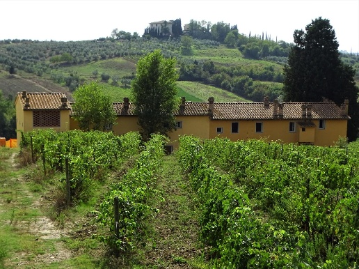 immagine annuncio 4 di 7