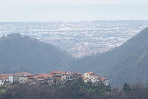 immagine annuncio 12 di 14