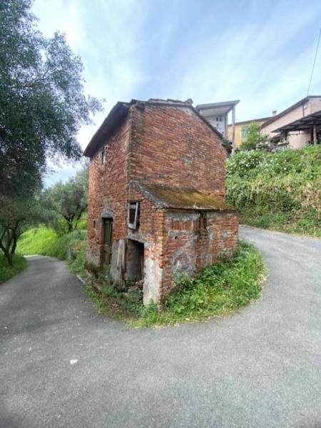 immagine annuncio 1 di 11