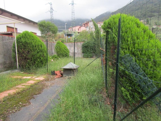 immagine annuncio 7 di 14