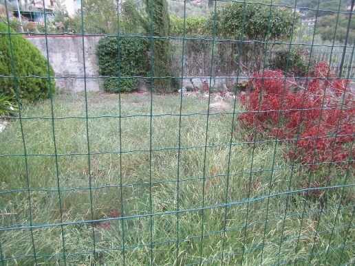 immagine annuncio 12 di 14