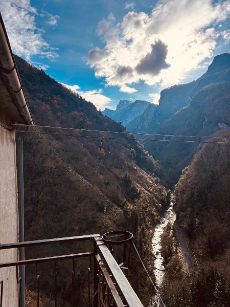 immagine annuncio 7 di 14