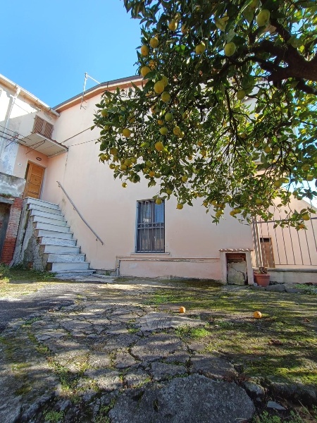 immagine annuncio 0 di 13