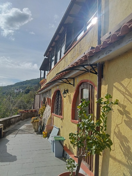 immagine annuncio 11 di 14