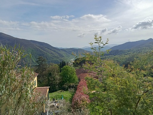 immagine annuncio 12 di 14