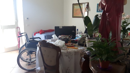 immagine annuncio 5 di 14