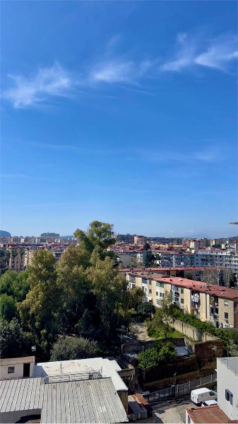 immagine annuncio 10 di 14