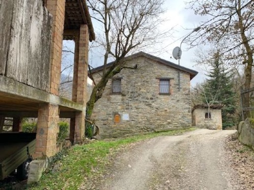 immagine annuncio 10 di 14