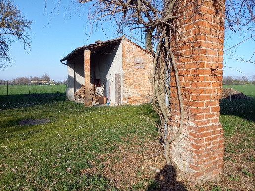 immagine annuncio 13 di 14