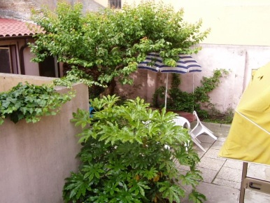 Foto Casa indipendente in Via ADRIA Corso Vittorio Emanuele 0, Adria Centro